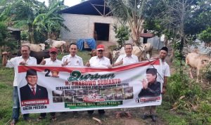 WhatsApp Image 2023-07-02 at 11.21.39